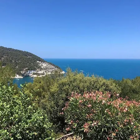 Monti 13c Vieste